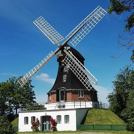 Villa Windmühle Catharina Oldenswort Exterior foto